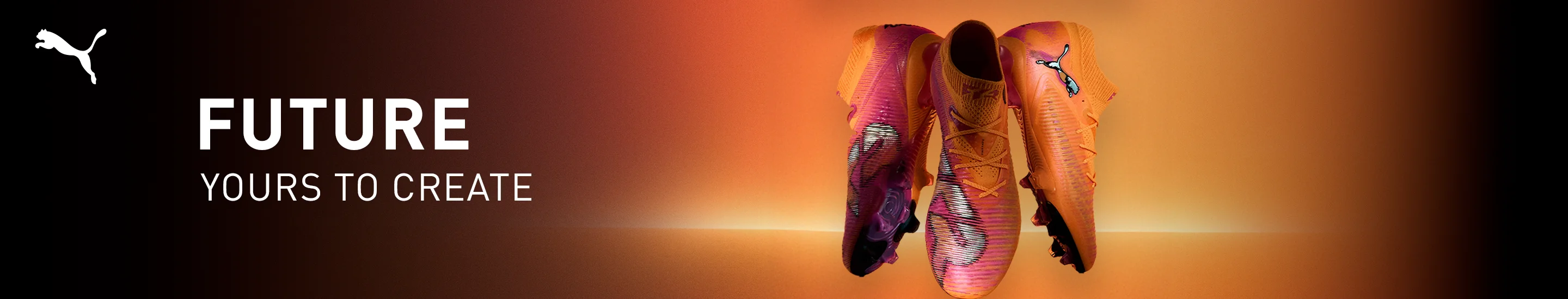 Puma Future