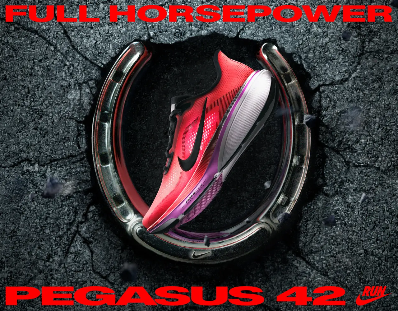 Nike Pegasus | dportenis