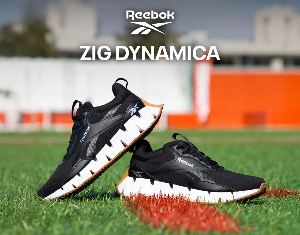Reebok Zig Dynamica | dportenis