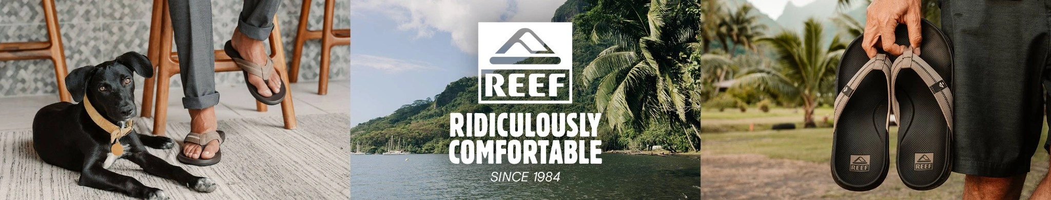 Reef