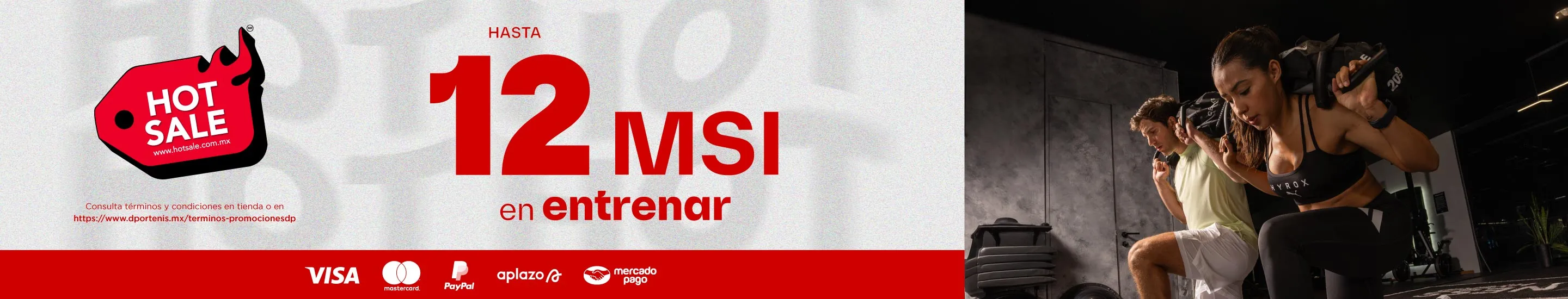 12 msi entrenar