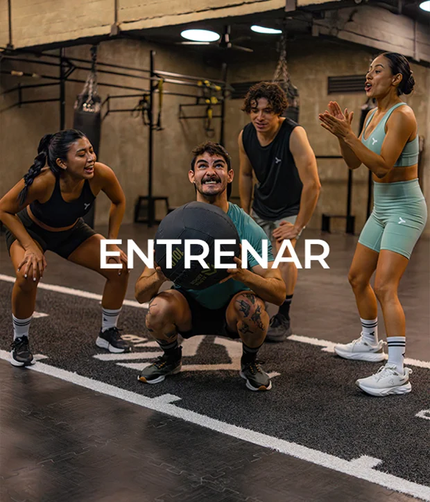 onboard entrenar