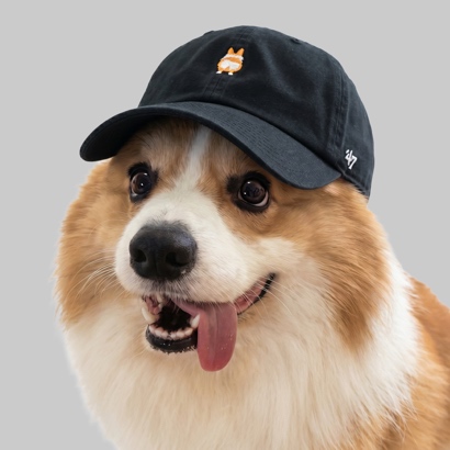 Corgi Dog Icon foto 6