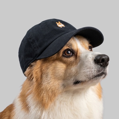 Corgi Dog Icon foto 7