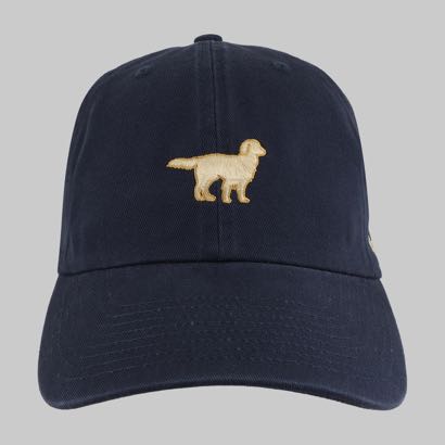 Golden Retriever Dog Icon foto 2