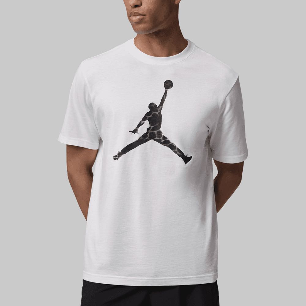 Playera Nike Jordan Sport Hombre
