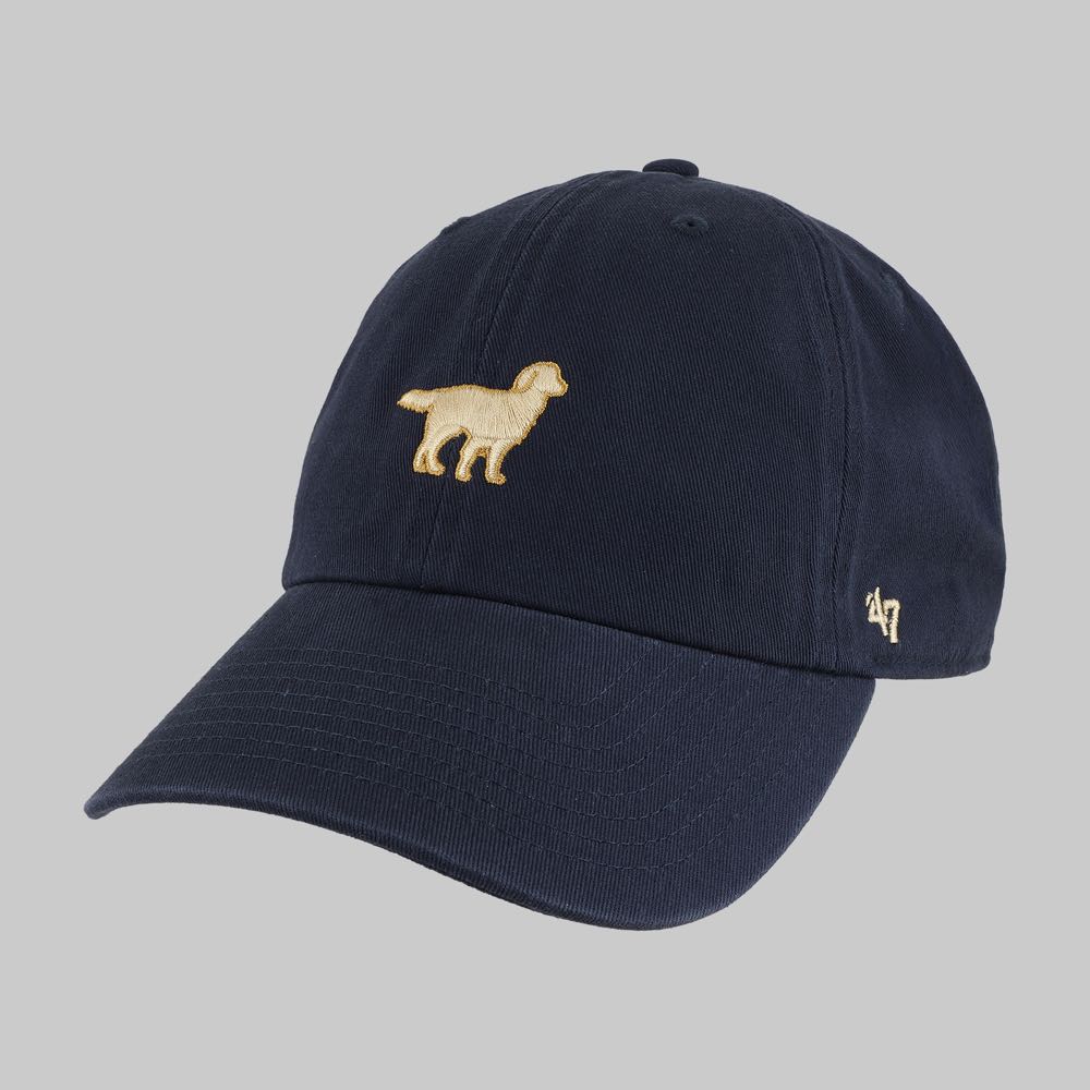 Golden Retriever Dog Icon
