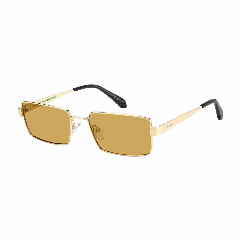 Lentes Polaroid PLD 6255/S/X