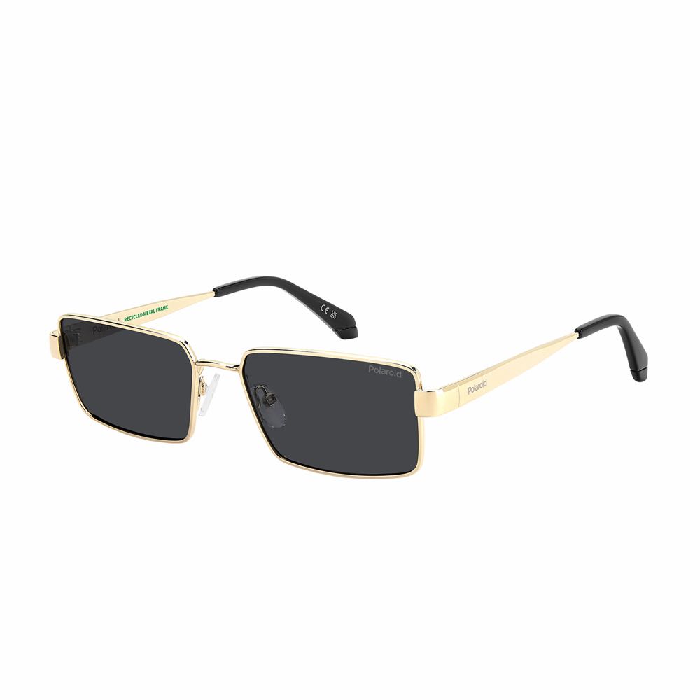 Lentes Polaroid PLD 6255/S/X